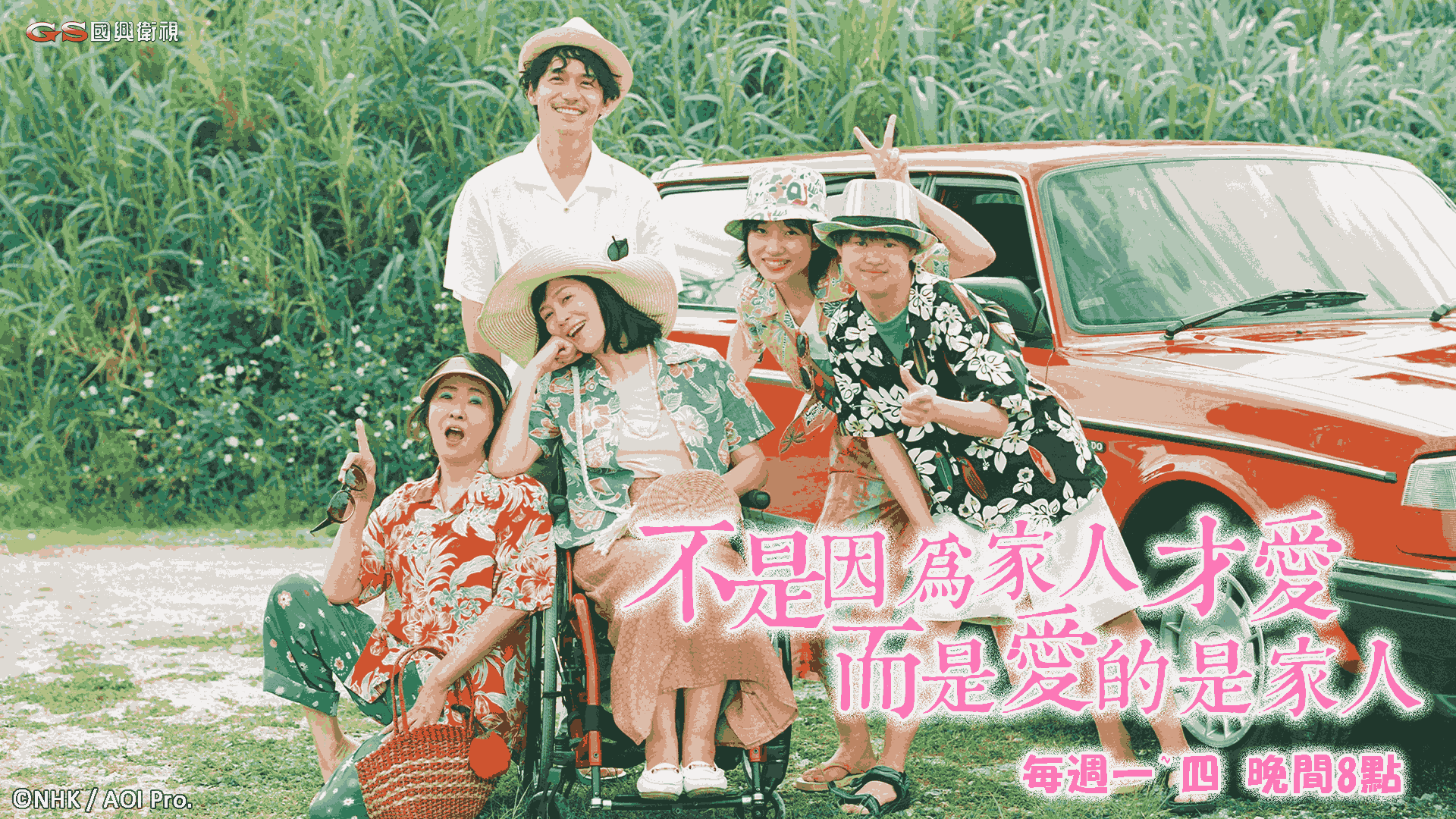 《不是因為家人才愛，而是愛的是家人》12/29(一)起，週一~週四晚間8點播出